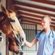 Malattie dei cavalli: le più comuni malattie del cavallo e i loro rimedi