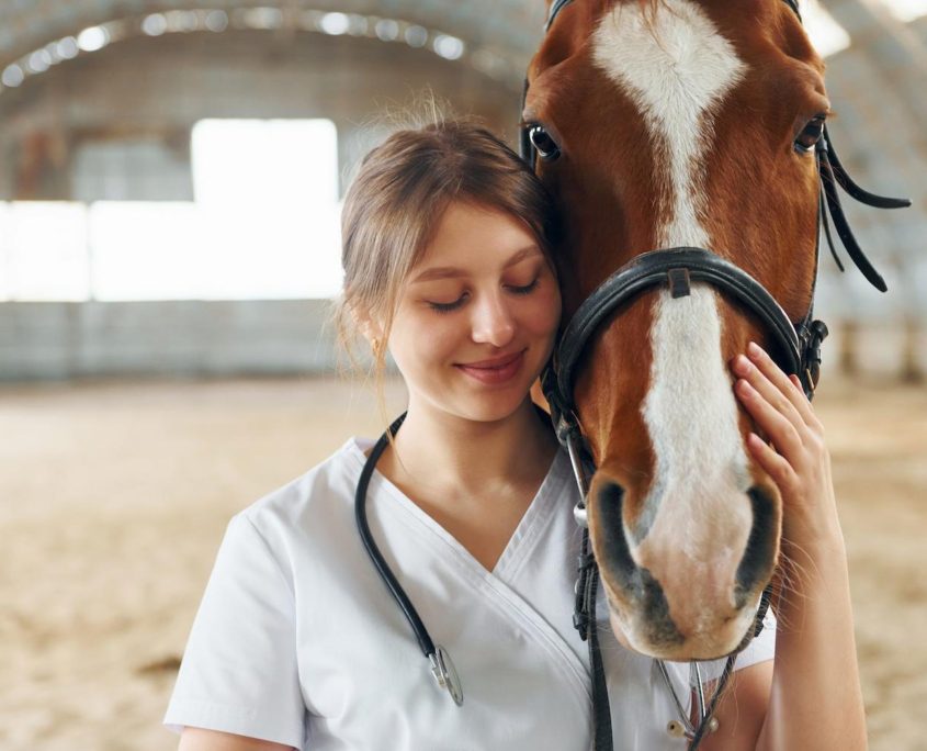 dare medicine ai cavalli 6 trucchi utili