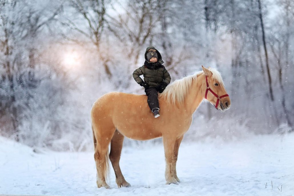 cavalli in inverno, 8 considerazioni