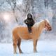 cavalli in inverno, 8 considerazioni