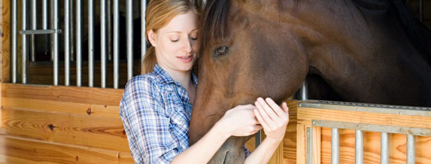 come comunicano i cavalli, il legame col proprio cavallo