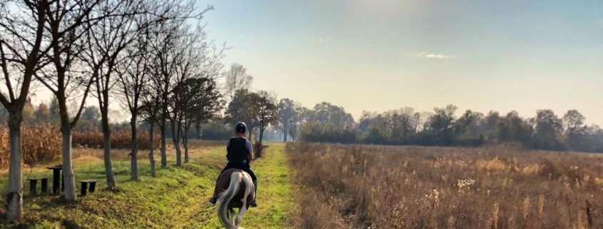 andare a cavallo in autunno, equitazione autunnale